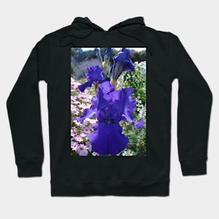 Iris Flower Indigo Purple Hoodie